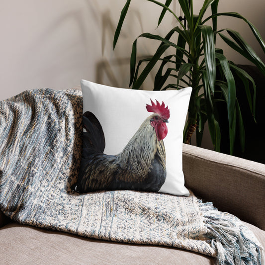 Boris - Premiumkudde